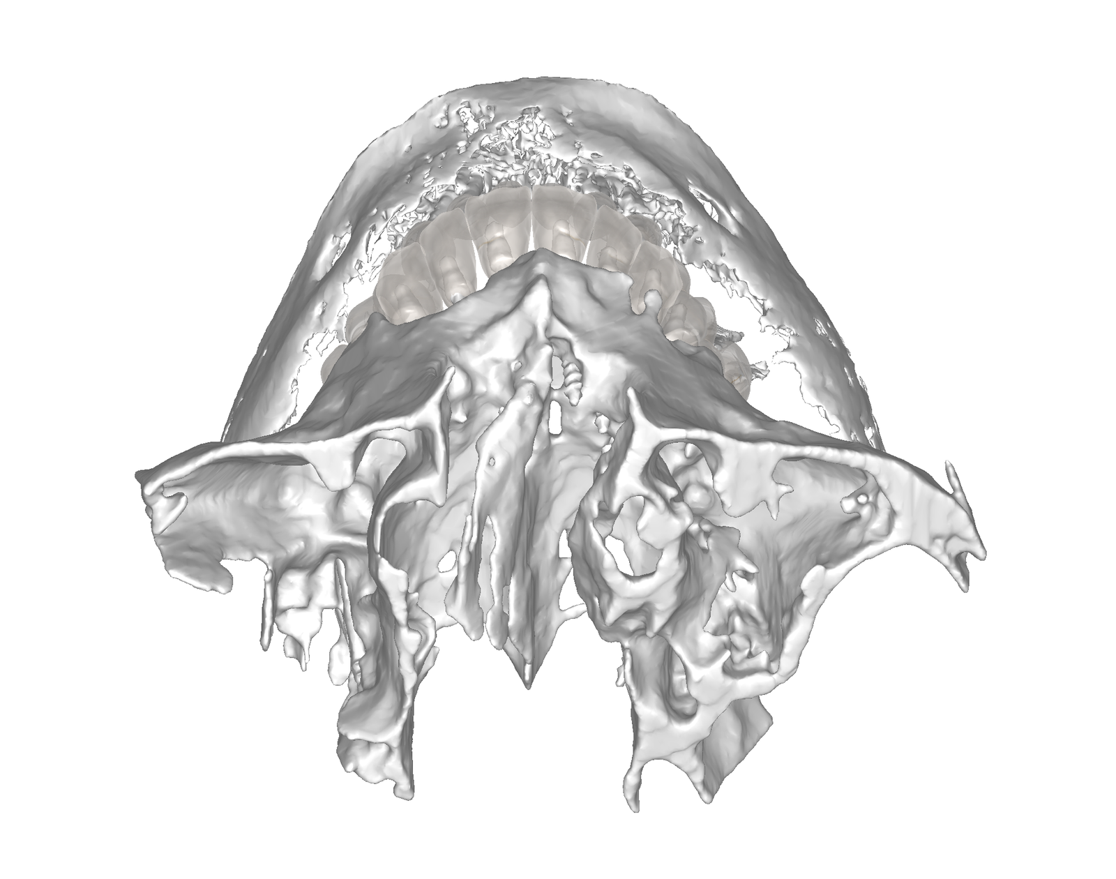 Captura De Pantalla 2025 06 04 143934